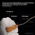 Шампунь Молекуляр, для восст. повреждений на молекулярном уровне Loreal