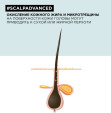 Шампунь, Скальп Анти-Дандрифф, перезагрузка для кожи головы, L'Oreal, 300 мл